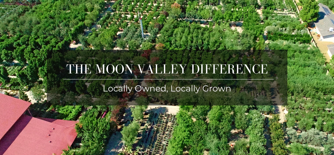 The Moon Valley Difference LocallyOwned, LocallyGrown